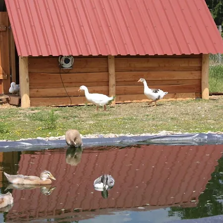 Ferienhaus Für Bis Zu 4 Personen Zur Seeseite - [#125260] Ferienhaus Grobern