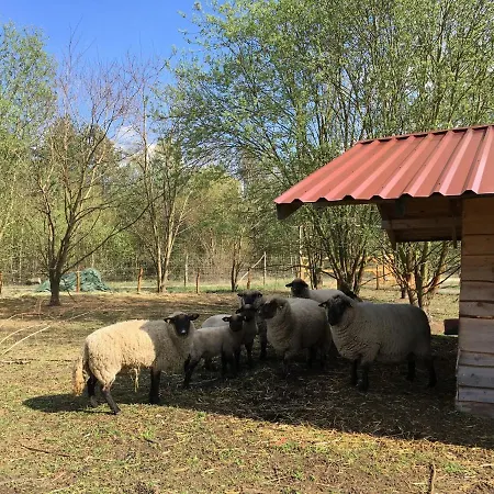 Ferienhaus Für Bis Zu 4 Personen Zur Seeseite - [#125260] * Grobern